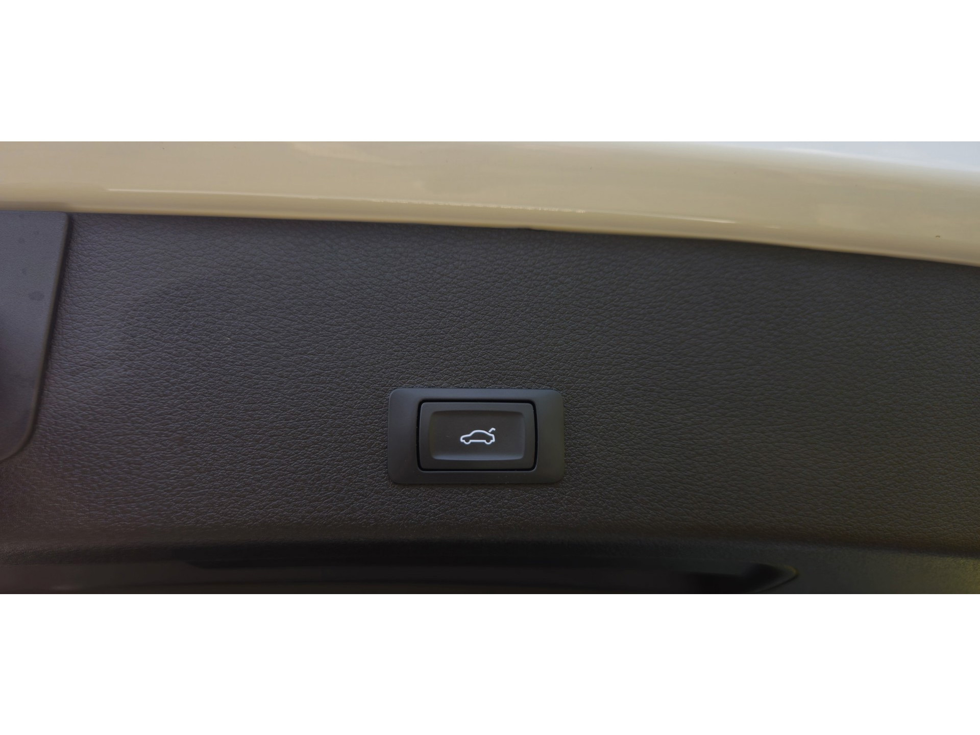 42949464-19.jpg