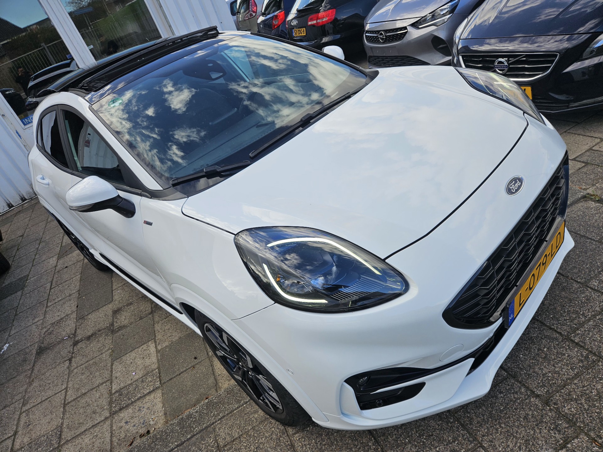 47812161-3.jpg